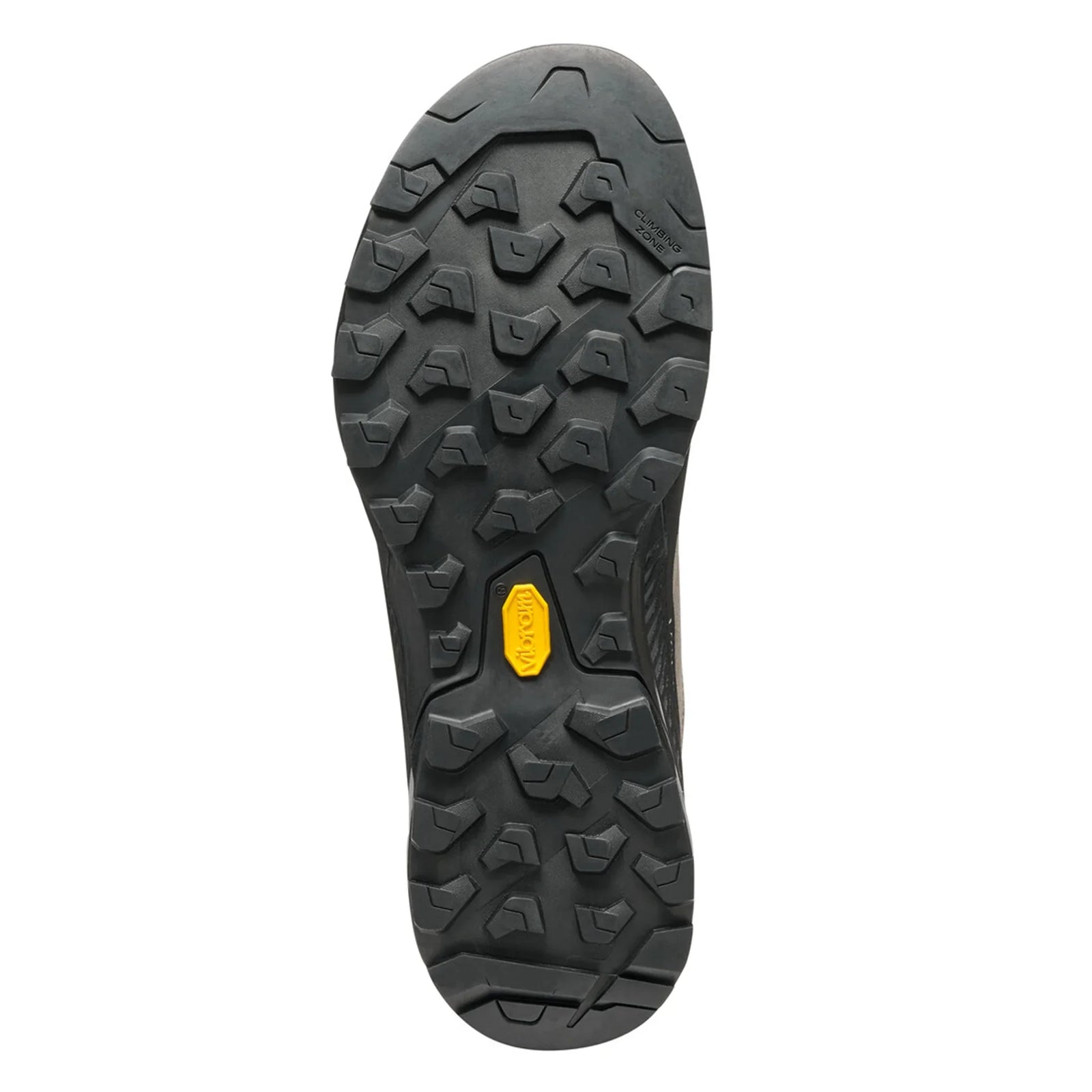 SCARPA Men's Rapid XT
