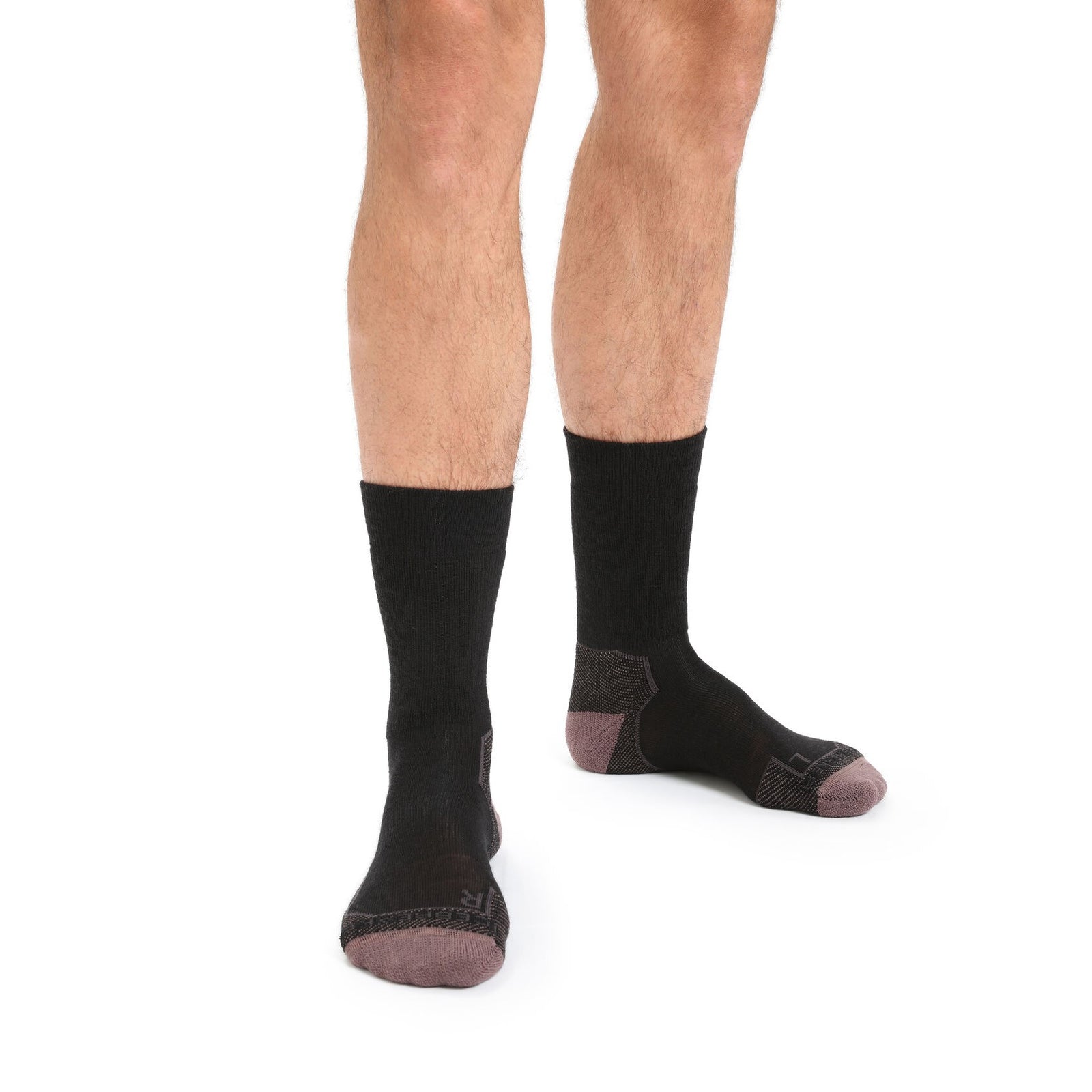 Icebreaker Men's Merino Hike+ Medium Crew Socks