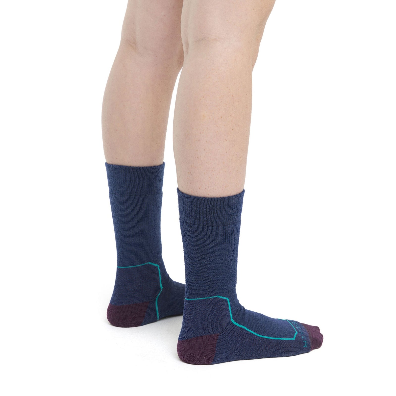 Icebreaker Women's Merino Hike+ Medium Crew Socks