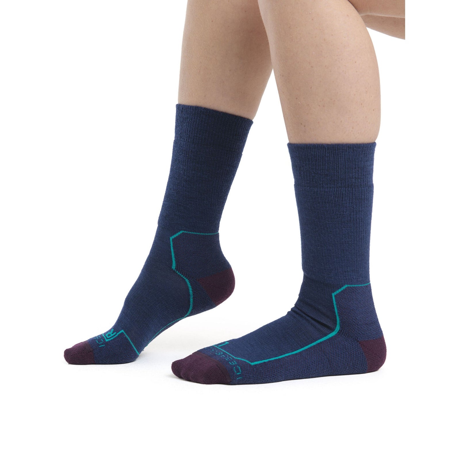 Icebreaker Women's Merino Hike+ Medium Crew Socks