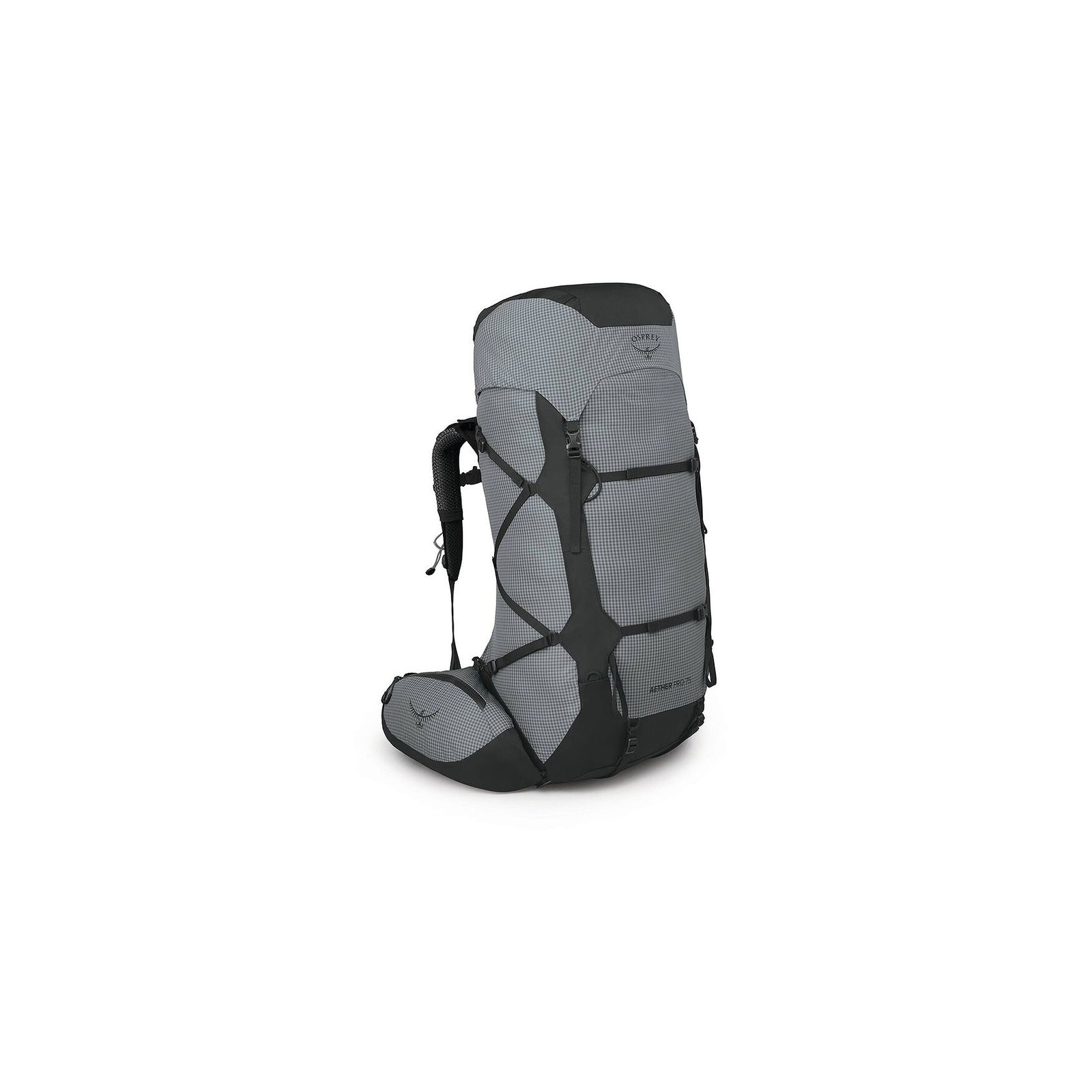 Osprey Men's Aether 75 Pro Backpack