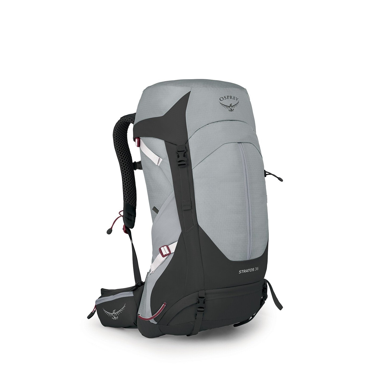 Osprey Men's Stratos 36 Backpack