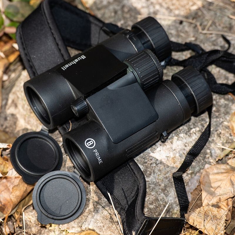 Bushnell Prime 8x42 Binoculars