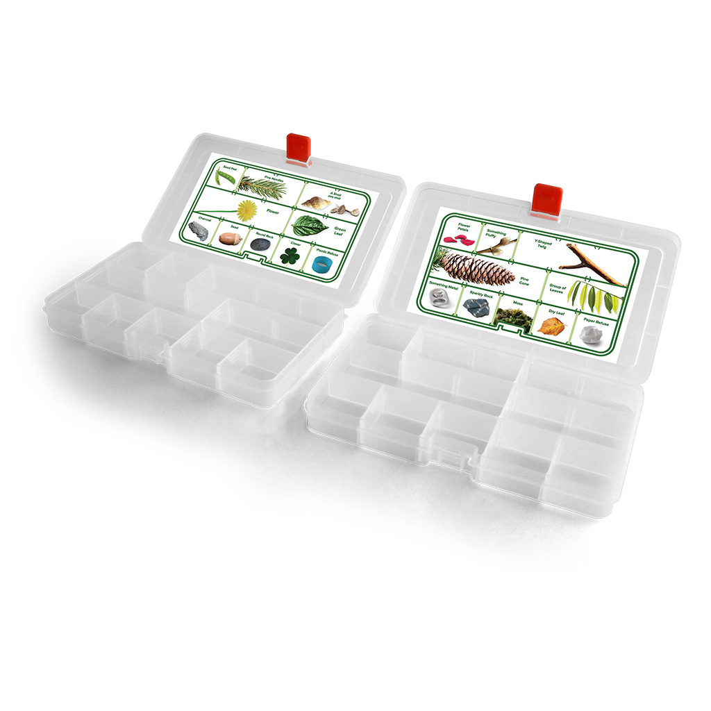 Coghlan's Scavenger Hunt