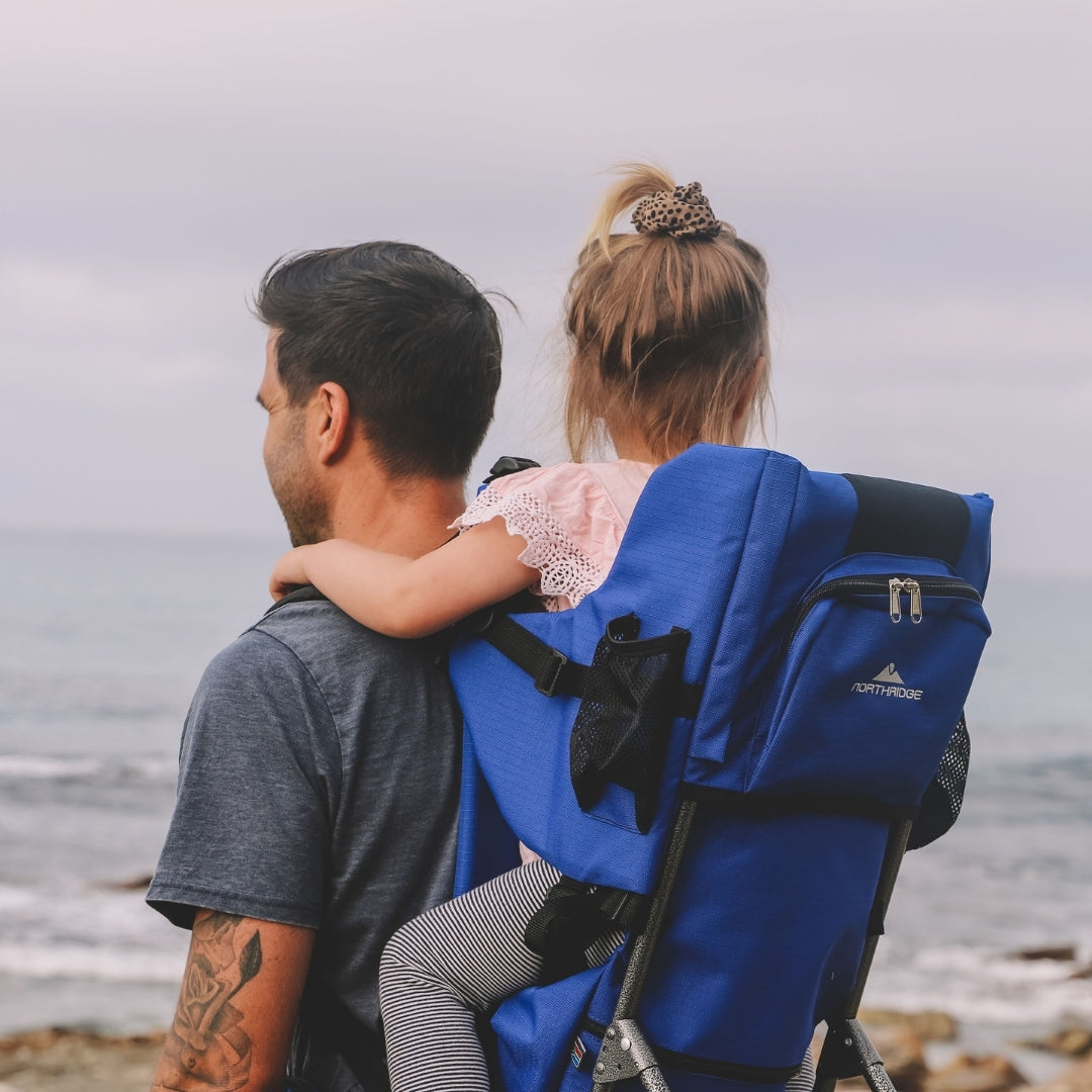 North Ridge Deluxe Baby Carrier