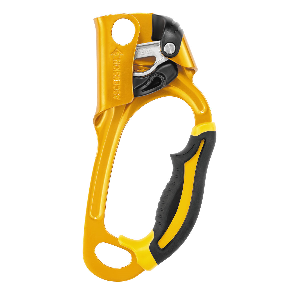 Petzl Ascension