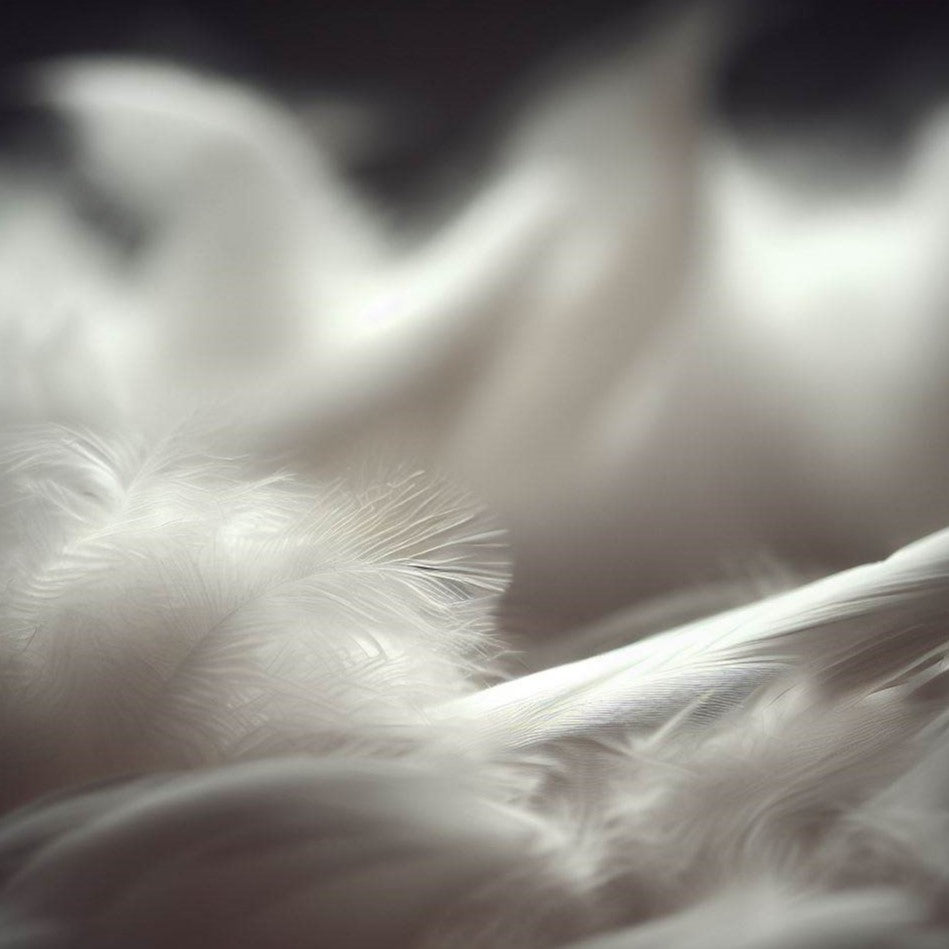 Product Care: Down gear