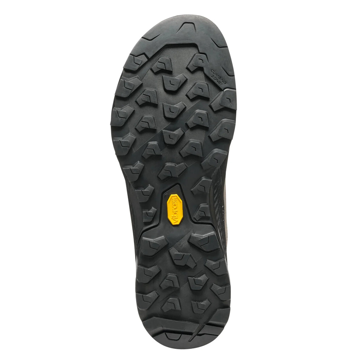 SCARPA Men's Rapid XT