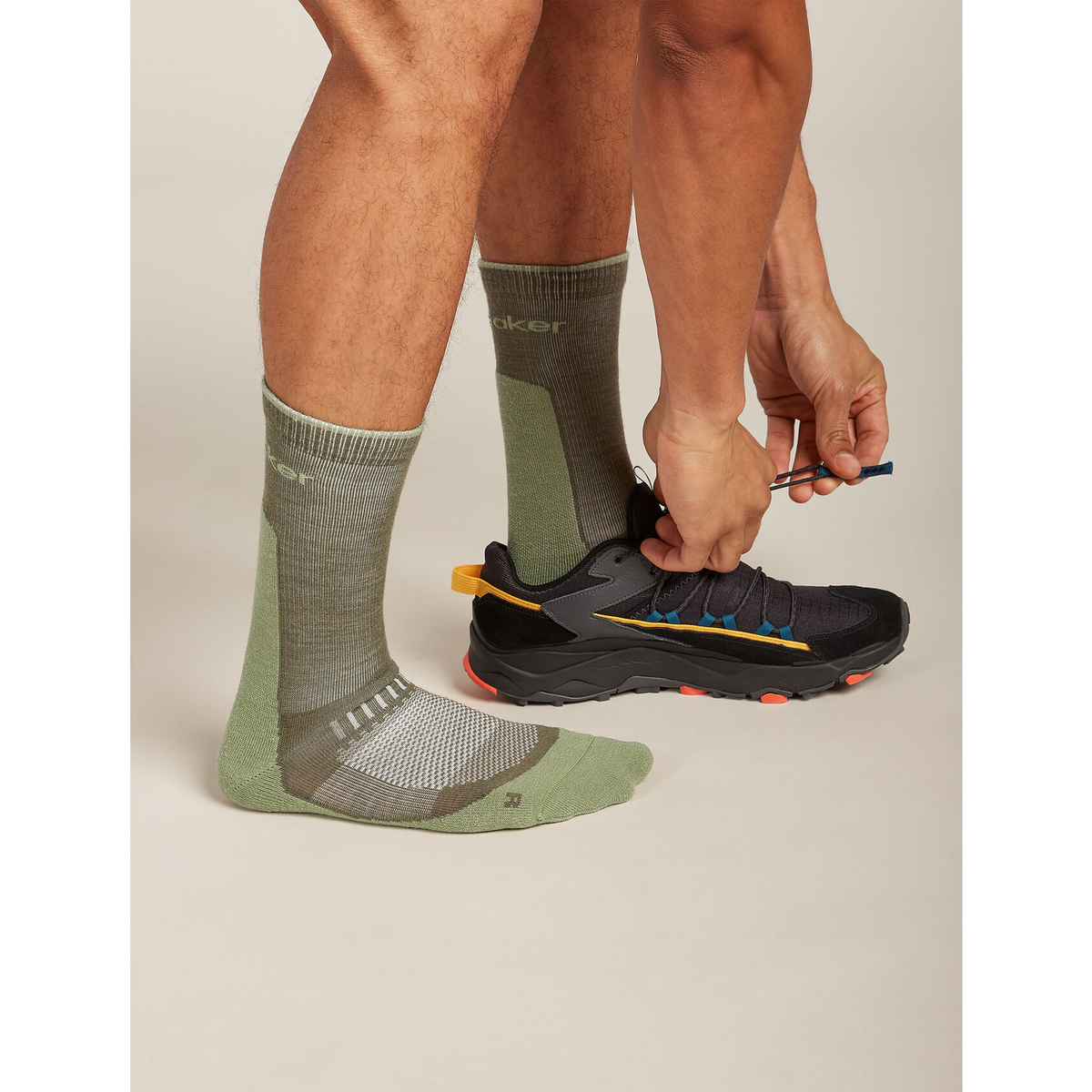 Icebreaker Men's Merino Hike Light Crew Socks