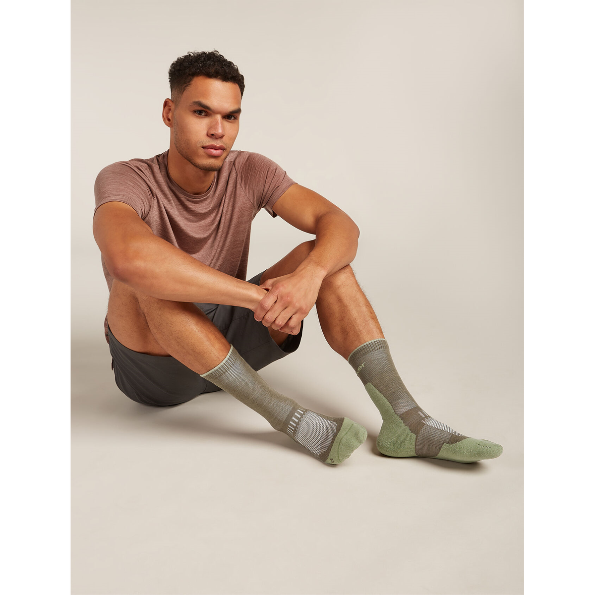 Icebreaker Men's Merino Hike Light Crew Socks