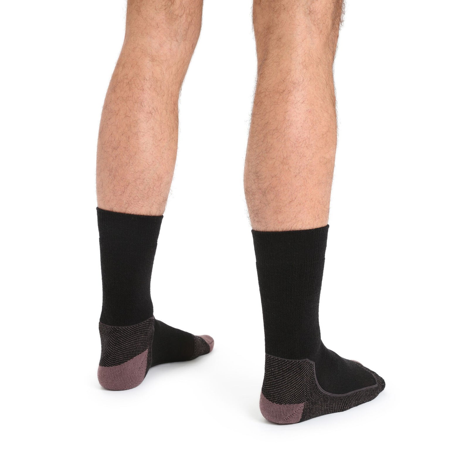 Icebreaker Men's Merino Hike+ Medium Crew Socks