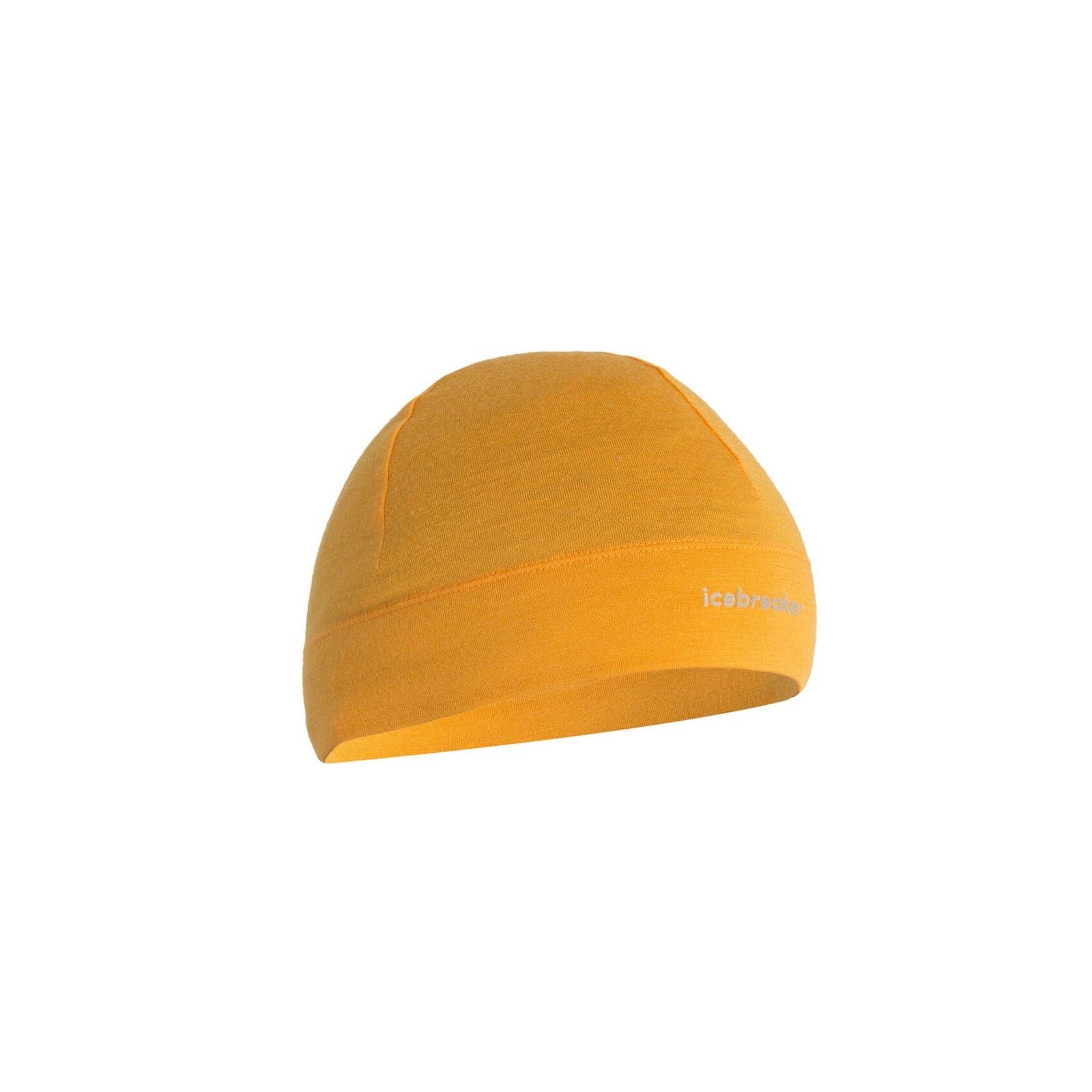 Icebreaker Merino 200 Oasis Beanie