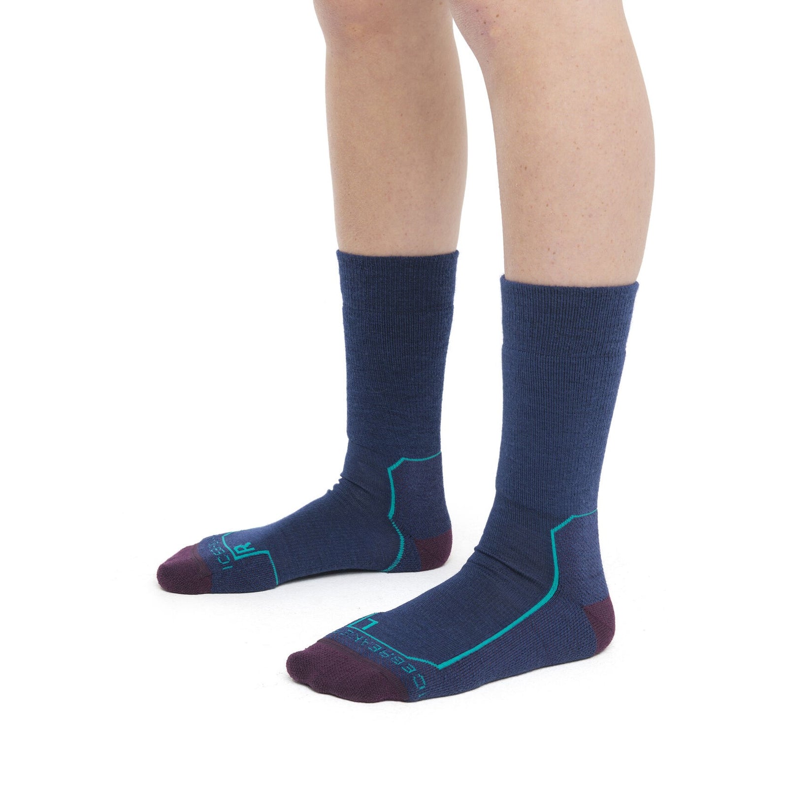 Icebreaker Women's Merino Hike+ Medium Crew Socks