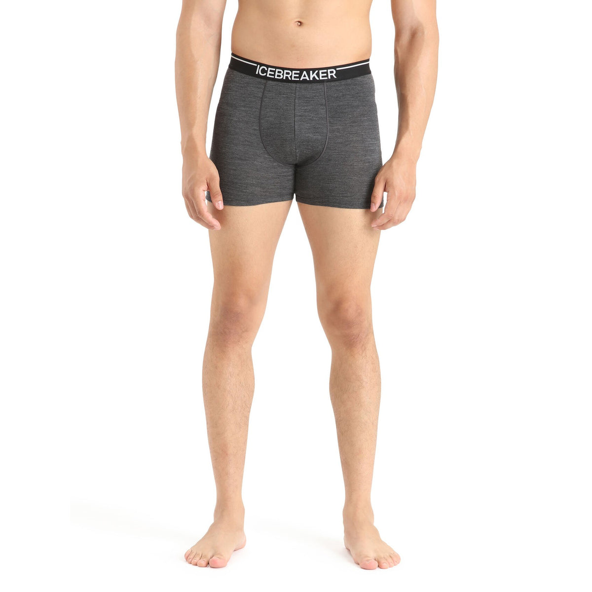 Icebreaker Men's Anatomica Boxer Briefs