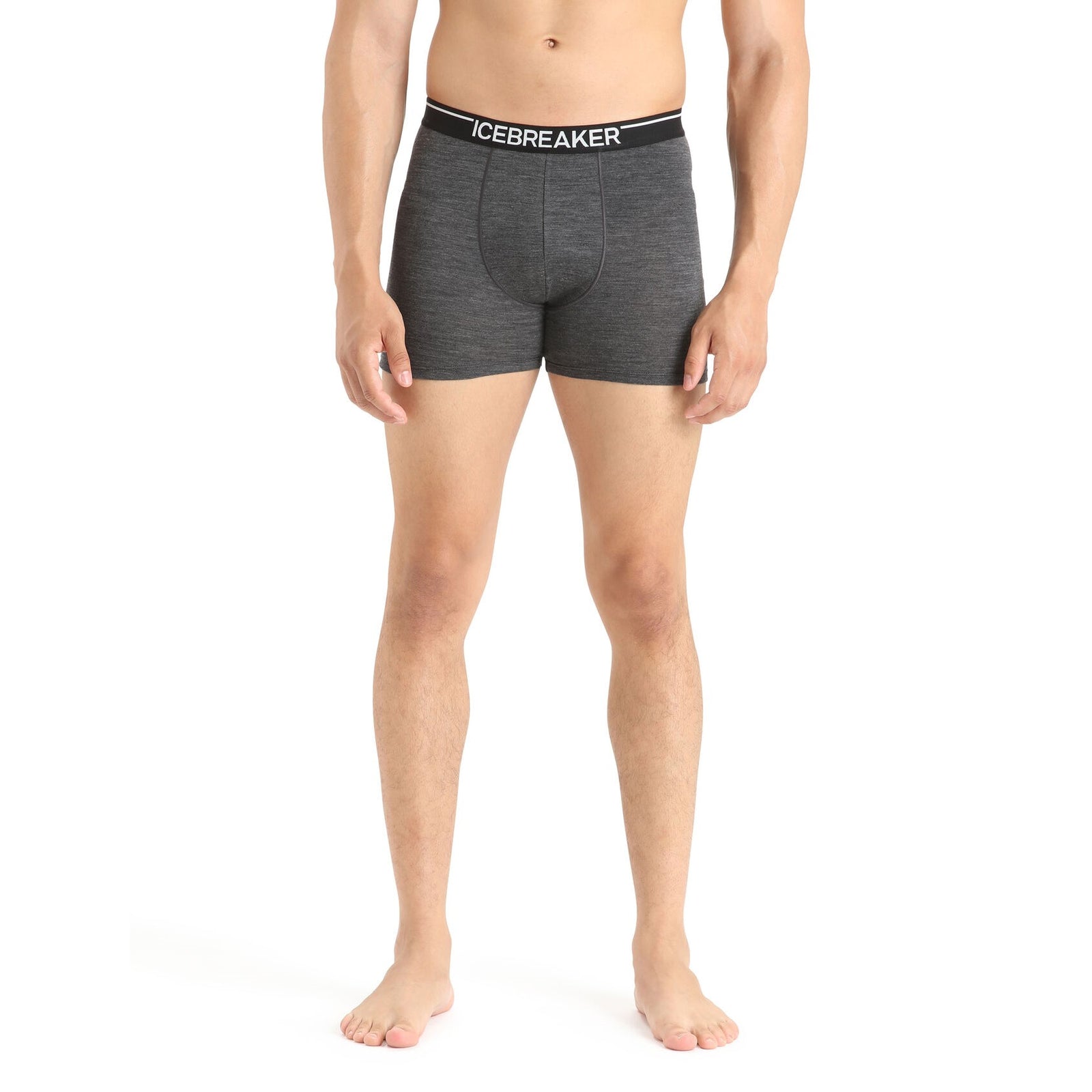 Icebreaker Men's Anatomica Boxer Briefs