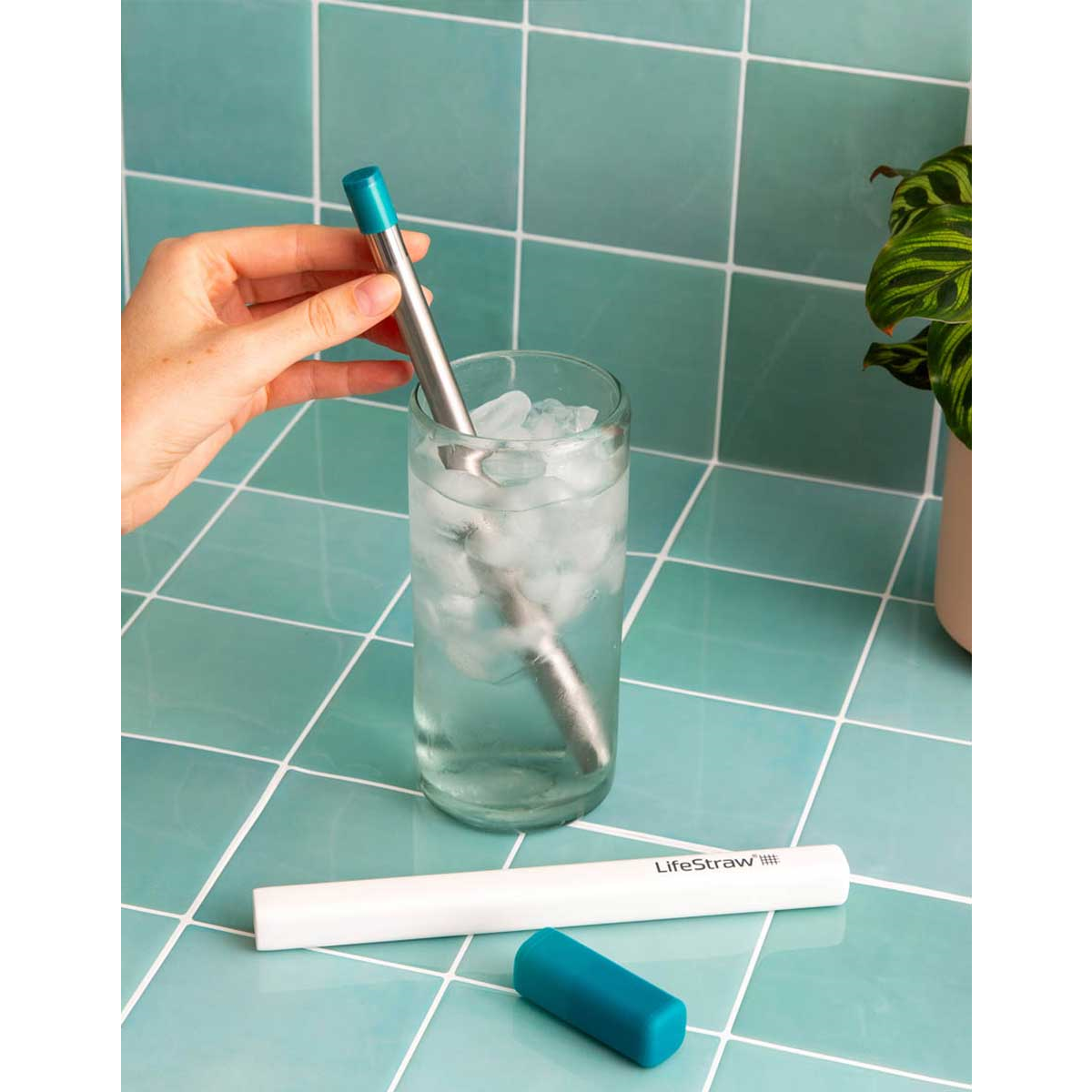 LifeStraw SIP Reusable Steel Filter Straw with Carry Case