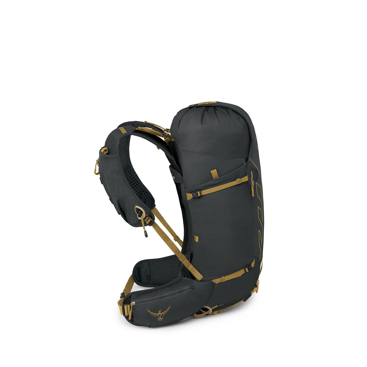 Osprey Men's Talon Velocity 30 Day Pack