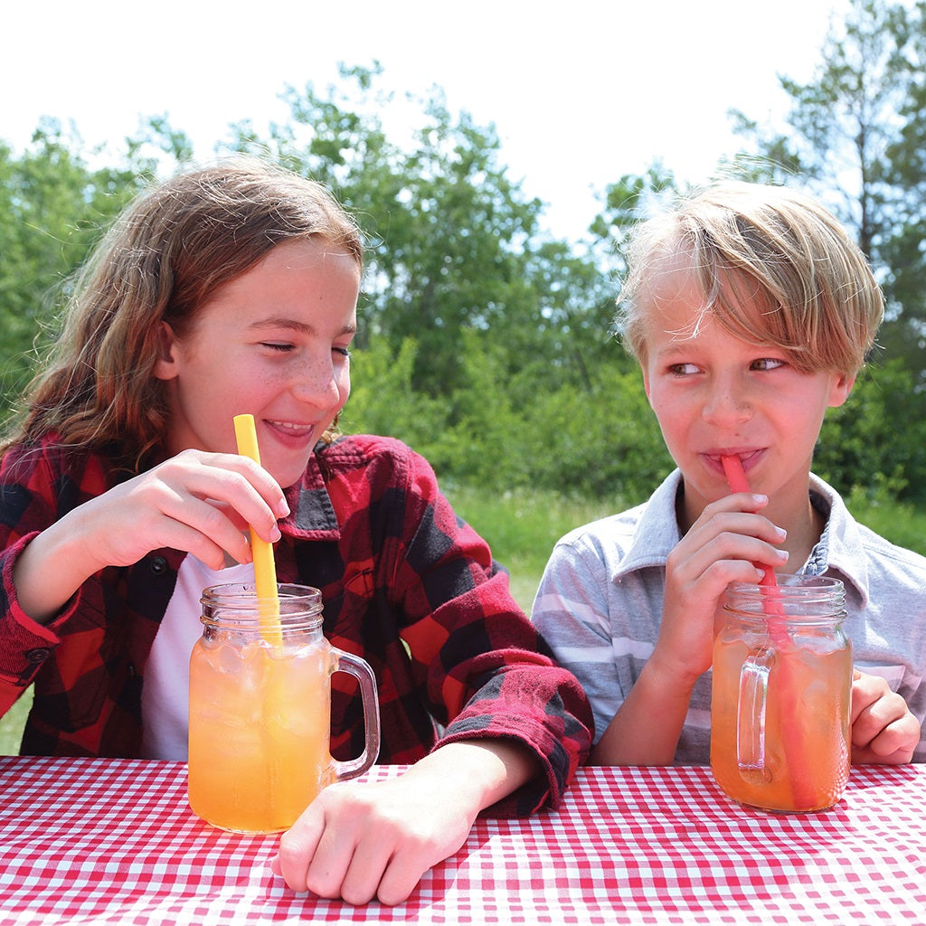 Coghlan's Silicone Straws - 4 Pack