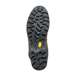 SCARPA Men's R-Evolution GTX Hiking Boots